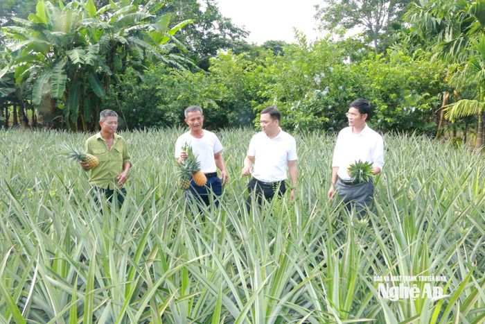 Cán bộ xã Châu Tiến thăm mô hình kinh tế của ông Trần Văn Hiền. Ảnh: K.L