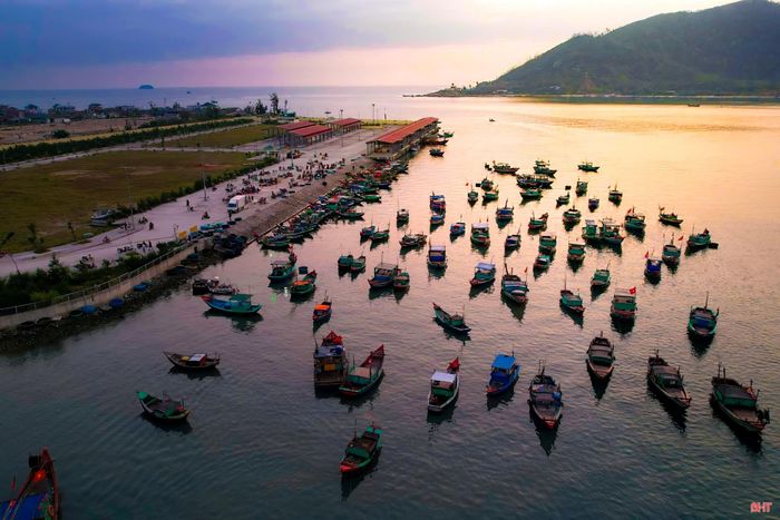 Cảng cá Cồn Gò tấp nập từ nửa đêm đến rạng sáng.