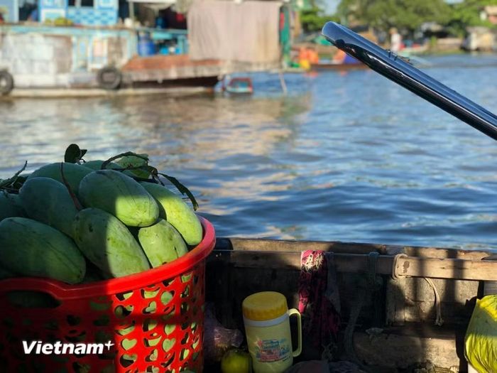 (Nguồn: Vietnam+)