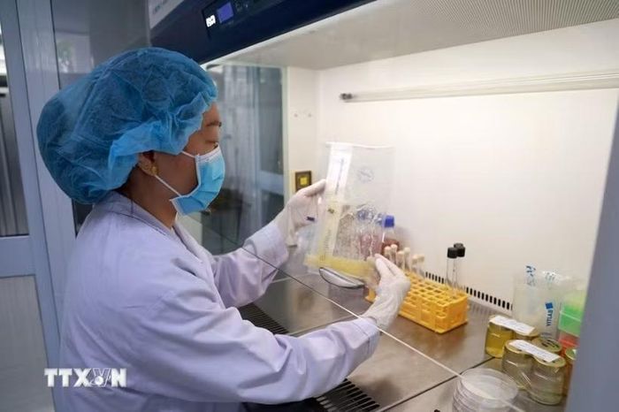 Kiểm nghiệm viên Trung tâm An toàn thực phẩm khu vực miền Trung (Viện Pasteur Nha Trang) kiểm tra mẫu thực phẩm. (Ảnh: Xuân Triệu/TTXVN)