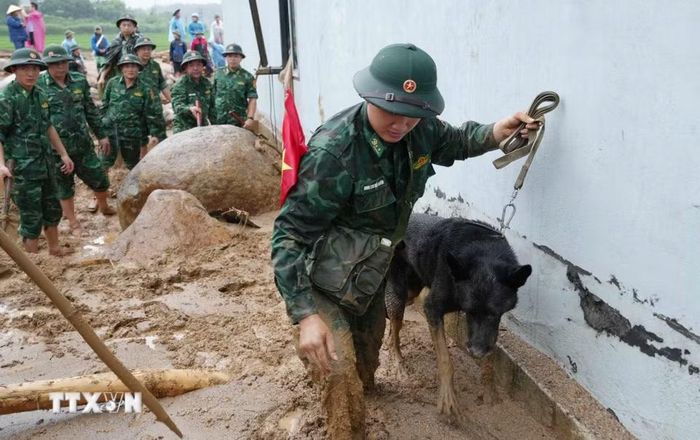 Bộ Chỉ huy quân sự tỉnh Lai Châu huy động chó nghiệp vụ đến hiện trường tìm kiếm nạn nhân. (Ảnh: Nguyễn Oanh/TTXVN)