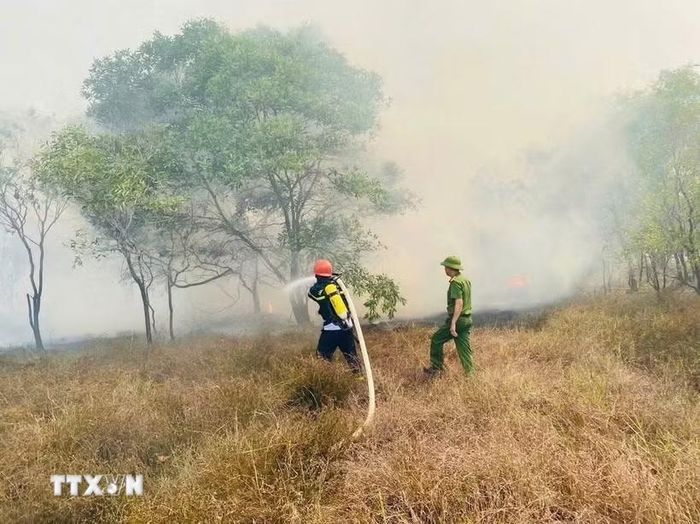Lực lượng chức năng nỗ lực dập tắt đám cháy rừng tràm tại khu vực giáp ranh xã Nam Cửa Việt và Triệu Cơ ngày 26/6. (Ảnh minh họa: TXVN phát)