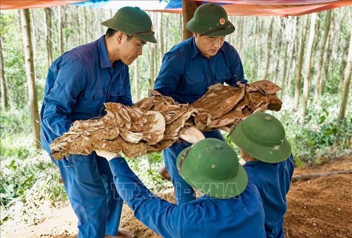 Đội Tìm kiếm, Quy tập hài cốt liệt sĩ Sư đoàn 968 (Quân khu 4) tìm kiếm, quy tập hài cốt liệt sĩ tại đồi Chôm Chôm, xã Hiếu Giang. Ảnh: TTXVN phát