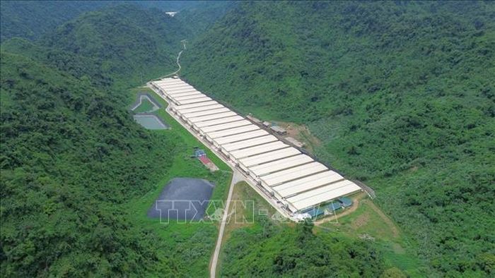 Trang trại nơi xảy ra tai nạn thuộc Dự án chăn nuôi lợn giống và lợn thương phẩm của Công ty trách nhiệm hữu hạn Dabaco Thanh Hóa (Tập đoàn Dabaco Việt Nam). Ảnh: TTXVN phát