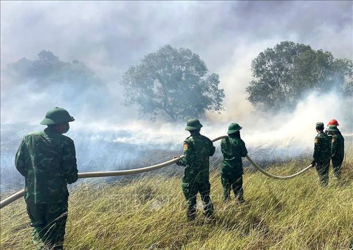 Lực lượng Bộ đội Biên phòng phối hợp khống chế vụ cháy rừng xảy ra tại xã Nam Cửa Việt (tỉnh Quảng Trị), ngày 26/6/2026. Ảnh minh họa: TTXVN phát