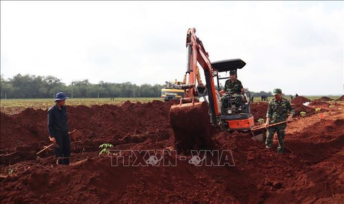 Để phục vụ công tác tìm kiếm, Ban Chỉ đạo 515 thành phố Đồng Nai tiếp tục phát đi thông báo khẩn thiết tìm nhân chứng.