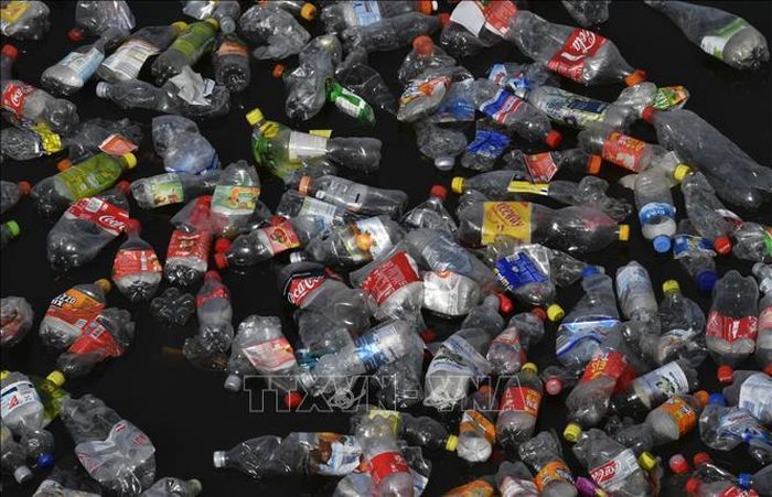 Rác thải nhựa trôi trên sông Spree ở Berlin, Đức. Ảnh tư liệu: AFP/TTXVN