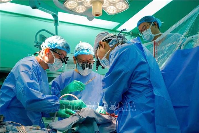 Các bác sĩ Bệnh viện Đại học Y dược Thành phố Hồ Chí Minh tiến hành ghép tim do nữ sinh viên 22 tuổi hiến tặng. Ảnh: TTXVN phát