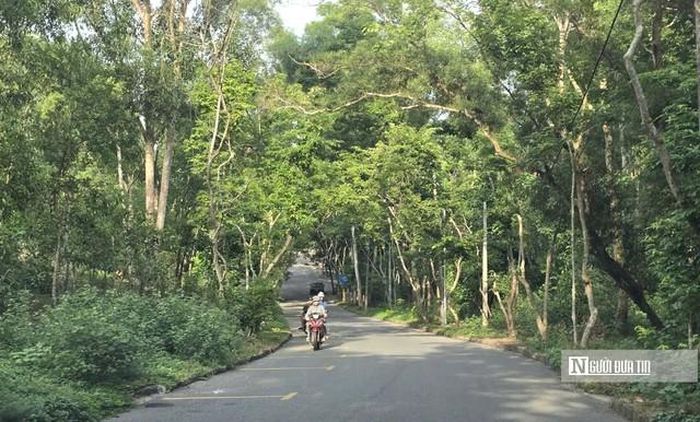 Đường xuống dự án khu du lịch sinh thái của Công ty Đại Long.