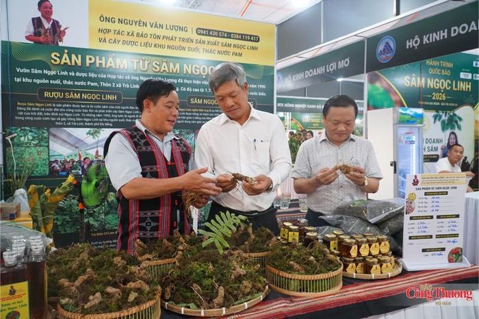 Phó Chủ tịch UBND TP. Đà Nẵng Hồ Quang Bửu (ở giữa) tham quan gian hàng của Hợp tác xã Bảo tồn, sản xuất Sâm Ngọc Linh và cây dược liệu khu nguồn suối Thác nước Pam (xã Trà Linh) tại chương trình quảng bá, giới thiệu sâm Ngọc Linh và dược liệu ngày 10/7