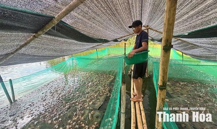 Anh Bùi Văn Sinh, thôn Cát Tân, xã Thượng Ninh thành công với mô hình trang trại chăn nuôi tổng hợp.