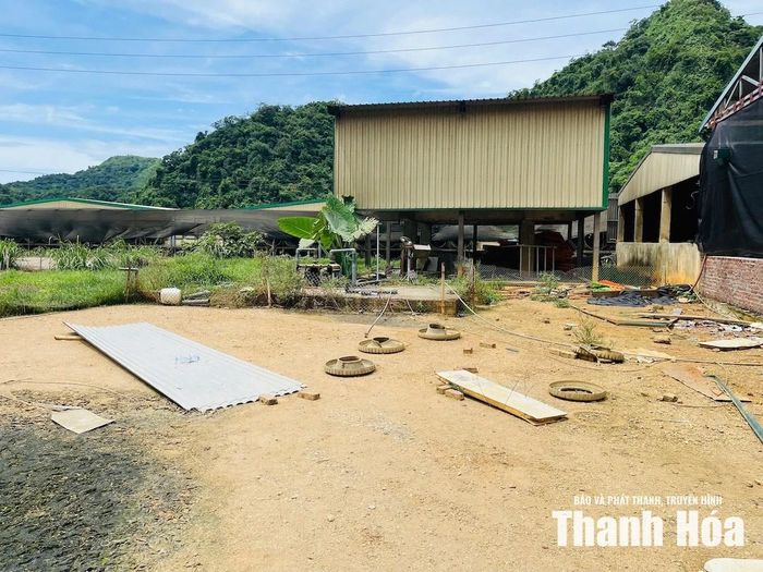 Trang trại chăn nuôi của Công ty TNHH DABACO Thanh Hóa.