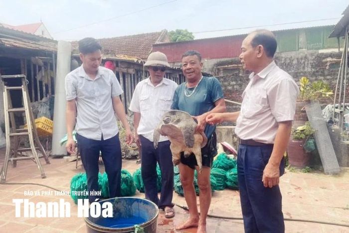 Cựu chiến binh Đỗ Huy Sơn giới thiệu ba ba do mình nuôi.