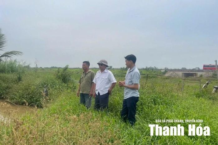 Cựu chiến binh Đỗ Huy Sơn chia sẻ kinh nghiệm nuôi ba ba