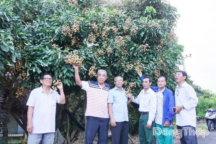 Các thành viên Canh Tân Hội quán tham quan, trao đổi kinh nghiệm sản xuất tại vùng nhãn An Hòa. Tinh thần liên kết, cùng học hỏi đã trở thành nền tảng cho sự phát triển của hội quán suốt 10 năm qua.