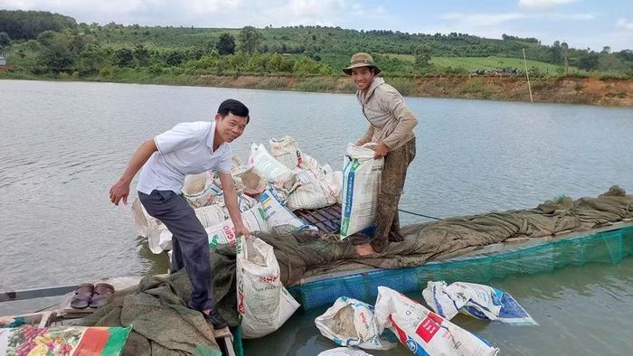 Cán bộ kỹ thuật Trung tâm Dịch vụ sự nghiệp công xã Mang Yang cùng người dân chuẩn bị thả cá giống ra lồng bè. Ảnh: N.D
