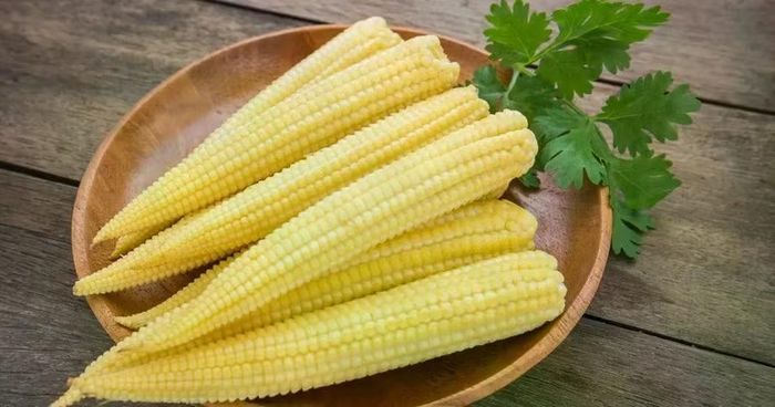 Bắp non chứa lượng chất xơ đáng kể, giúp hỗ trợ hoạt động của hệ tiêu hóa, thúc đẩy nhu động ruột và giảm nguy cơ táo bón. Ảnh: Internet