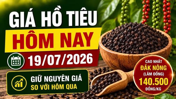 Hình minh họa