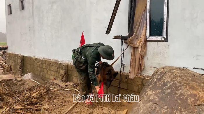 Huấn luyện viên và chó nghiệp vụ của bộ đội biên phòng tham gia tìm kiếm cứu nạn tại bản Chít.