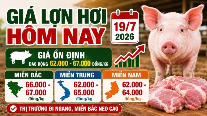 Hình minh họa.