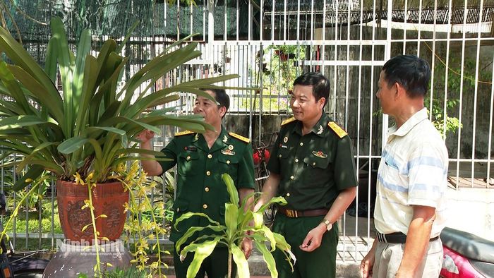 Mô hình trồng lan thương phẩm của CCB Nguyễn Văn Tuyến, Thôn 7, xã Hải Tiến