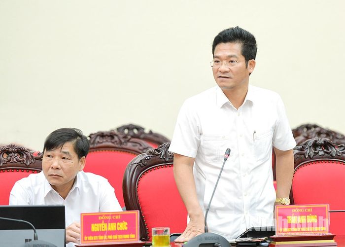 Đồng chí Trần Anh Dũng, Ủy viên Ban Thường vụ Tỉnh ủy, Phó Chủ tịch UBND phát biểu tại hội nghị.