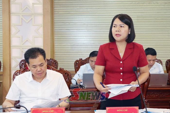 Đồng chí Trưởng Ban Văn hóa Xã hội phát biểu tại Phiêp họp.