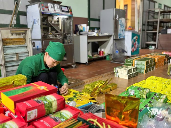 Sản phẩm trà Tân Cương đạt chuẩn OCOP, chứng nhận hữu cơ với đầy đủ thông tin truy xuất.
