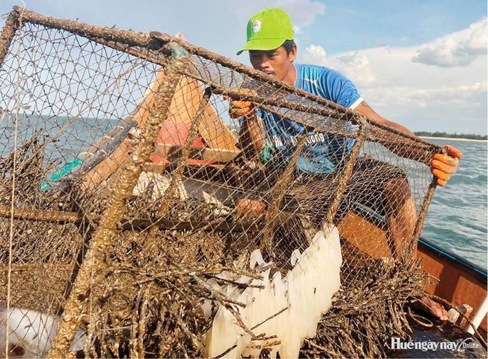 Một chuyến bủa lừ của Bắc.