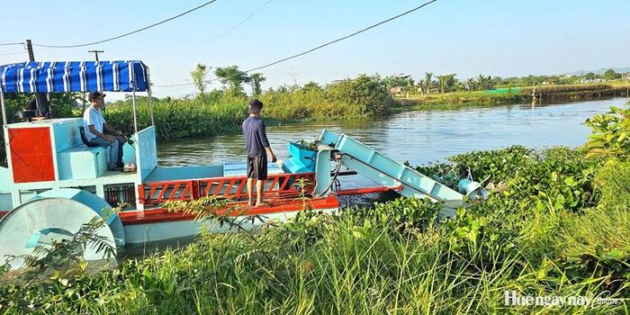 Máy cắt, thu gom bèo được vận hành thử trên tuyến hói tại tổ dân phố Trung Thành, phường Hóa Châu.