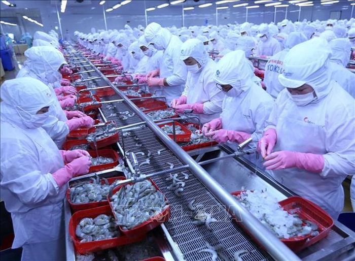 FTA giữa Việt Nam - EFTA sẽ mở ra cơ hội mở rộng thị trường giá trị cao cho thủy sản Việt. Ảnh: Vũ Sinh