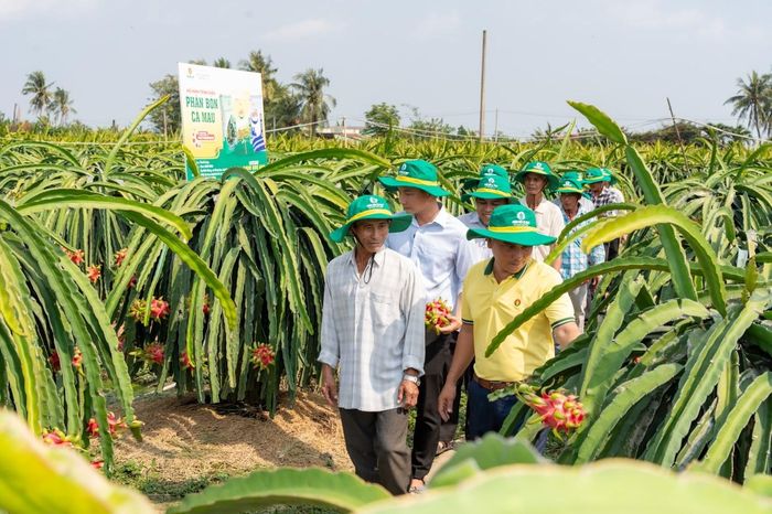 PVCFC đồng hành cùng bà con trong nhiều hoạt động. Ảnh: Đình Khôi
