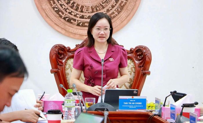 Phó Trưởng đoàn chuyên trách Đoàn ĐBQH tỉnh Nghệ An Thái Thị An Chung phát biểu tại buổi làm việc