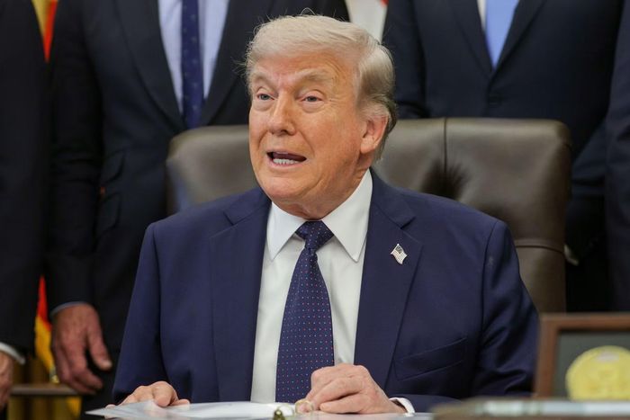 Tổng thống Mỹ, ông Donald Trump