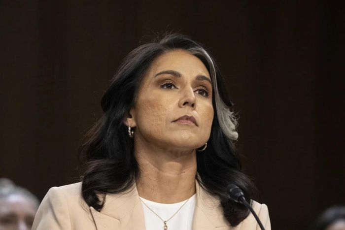 Cựu Giám đốc Tình báo Quốc gia Mỹ, bà Tulsi Gabbard
