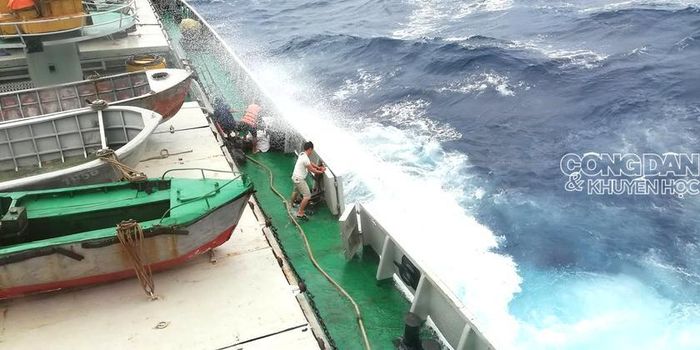 Sóng cuộn gầm lên. Nhâng tàu lên rồi dập tàu xuống. Cabin, bát đũa, cốc chén trên bàn rơi loảng xoảng, tiếng hét chói tai: "Xuồng, neo xuồng, neo xuồng....!!!!"