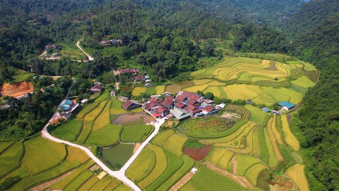 Vụ xuân toàn tỉnh gieo cấy được 3.613,51 ha, bằng 106,02% so với cùng kỳ; năng suất ước đạt 52,9 tạ/ha, bằng 100% kế hoạch.