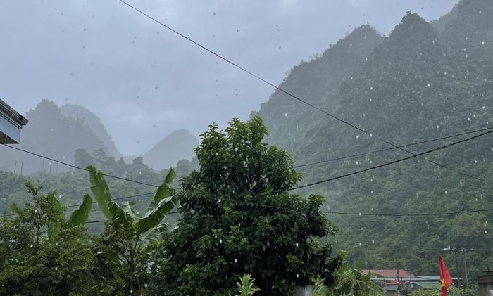 Từ chiều tối nay (19/7) đến đêm mai (20/7), các địa phương trong tỉnh có mưa vừa, mưa to và rải rác có dông.