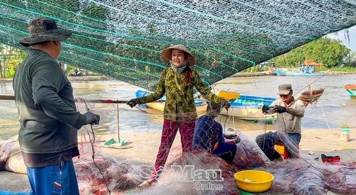 Mỗi ngày ngư dân có 2 lượt thả và thu lưới vào buổi sáng và chiều.