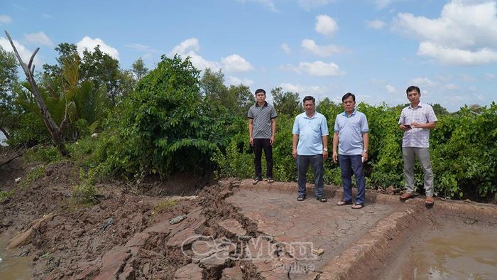 Chi cục Thủy lợi tỉnh Cà Mau kiểm tra hiện trường sạt lở tại xã Định Thành nhằm đánh giá nguyên nhân và mức độ nguy hiểm.