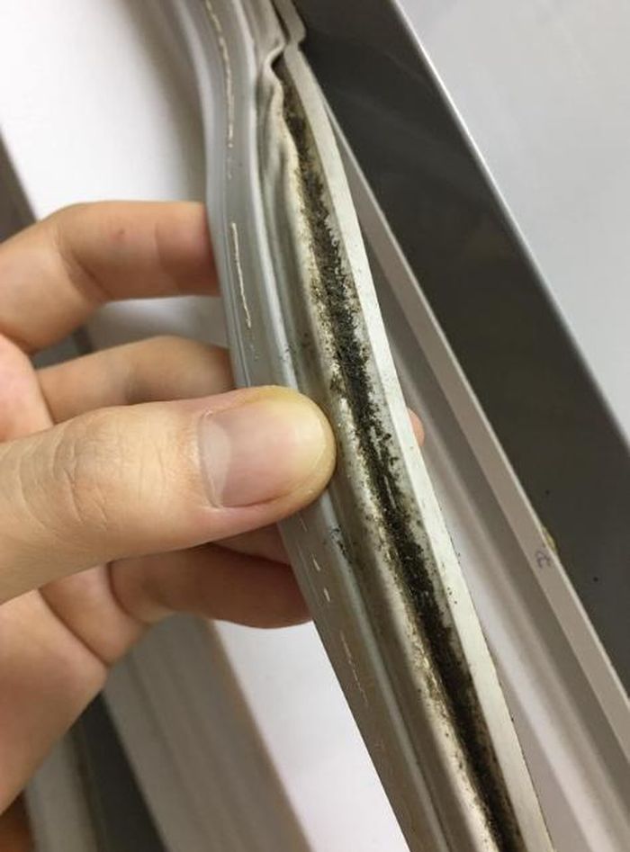 Gioăng tủ lạnh bị mốc sẽ dễ khiến vi khuẩn lây lan sang thực phẩm.