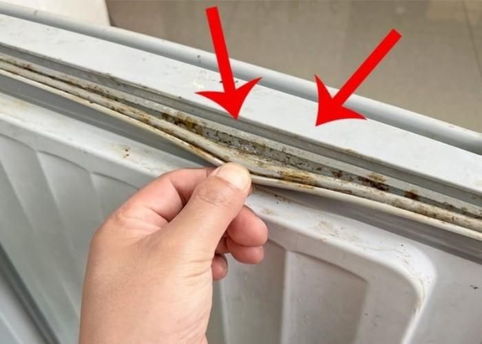 Nếu không được vệ sinh thường xuyên, gioăng tủ lạnh rất dễ bị mốc.
