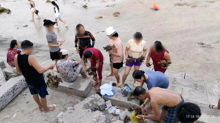 Nhóm du khách bẻ san hô gây bức xúc trên MXH (ảnh: Hà An)