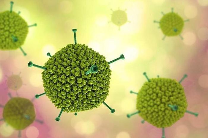 Adenovirus là loại virus phổ biến, có thể gây bệnh quanh năm nhưng thường gia tăng vào thời điểm giao mùa hoặc mùa hè.