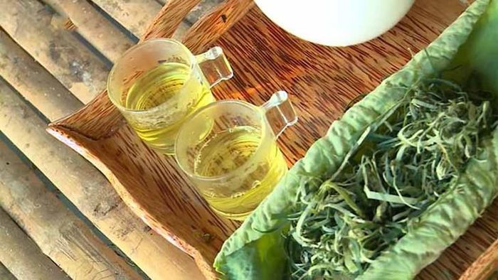Lá sen chứa các hoạt chất sinh học có tác dụng điều hòa mỡ máu.
