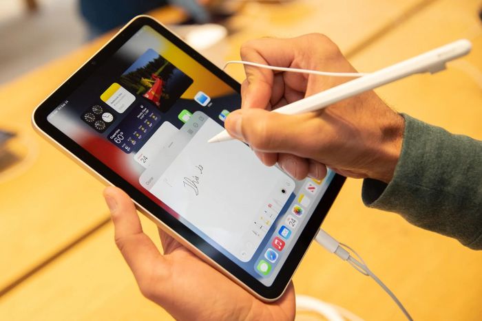 Apple được cho là sẽ ra mắt iPad mini dùng màn hình OLED vào mùa thu năm nay, cùng kế hoạch làm mới toàn bộ dòng iPad trong năm 2027. Ảnh: Bloomberg.