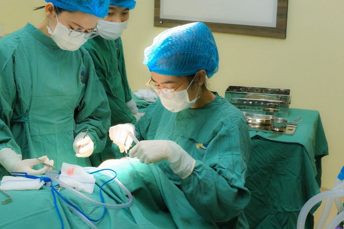 Ê-kíp phẫu thuật loại bỏ khối u cho bệnh nhân. Ảnh: BVCC.