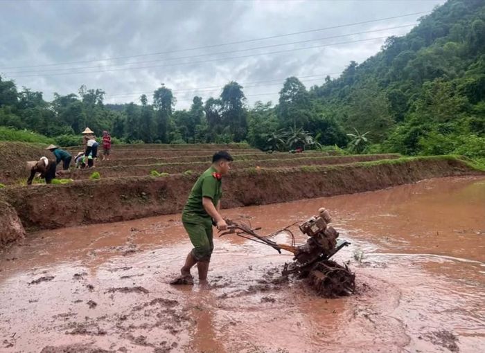 Hình ảnh cán bộ, chiến sĩ khoác sắc phục, bì bõm lội ruộng, thoăn thoắt cấy lúa cùng bà con đã để lại nhiều ấn tượng đẹp, ấm áp nghĩa tình. Ảnh: Công an tỉnh Điện Biên