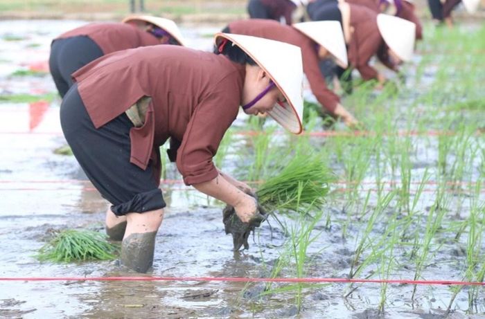 Lễ hội xuống đồng được người dân vùng Hà Nam gìn giữ qua nhiều thế hệ. Ảnh: Q.N