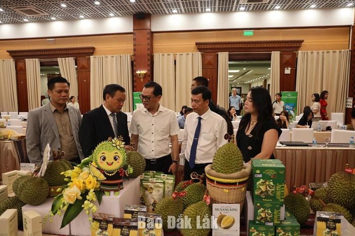 Các đại biểu tham quan nơi trưng bày sản phẩm sầu riêng Đắk Lắk